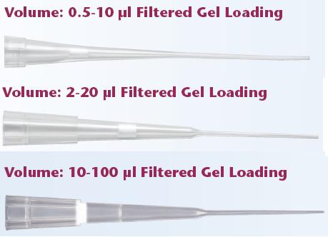 ��Ʒ���Q��QSP���Vо���z�c�����^