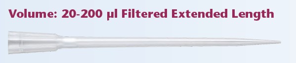 QSP���L���^