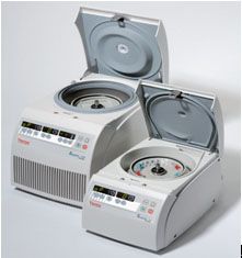 Pico&Fresco΢���x�ęC